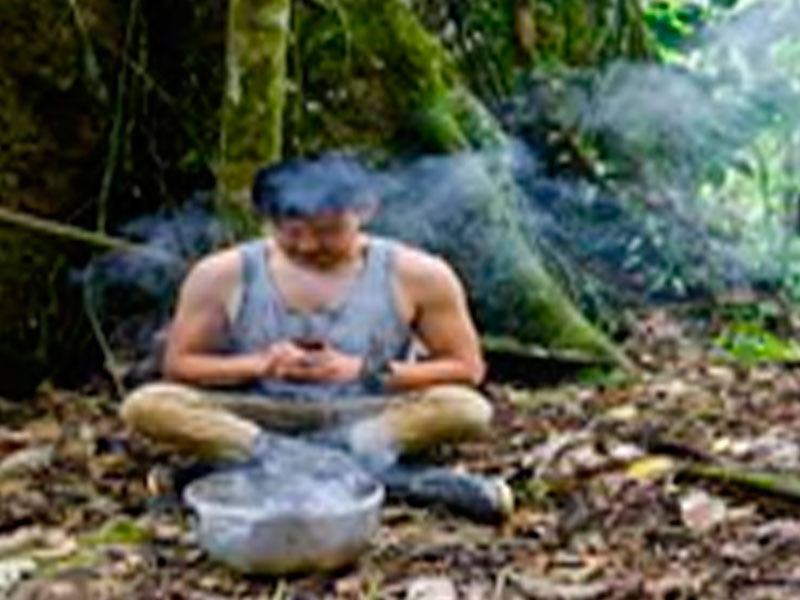Ayahuasca - Metamorfosis Amazónica