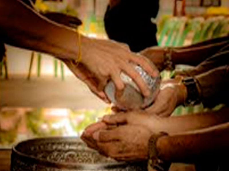 Ayahuasca - Metamorfosis Amazónica