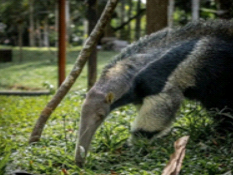 Full day biodiversidad y rescate