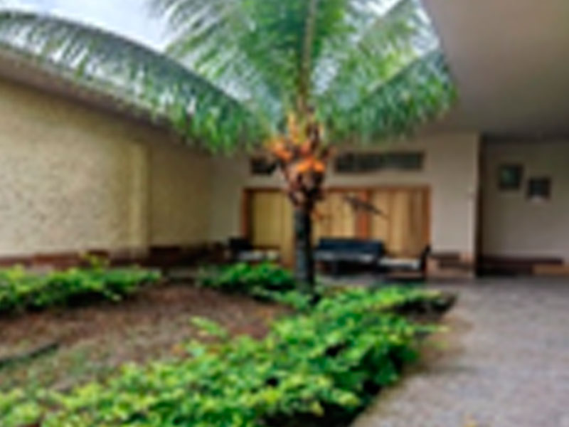 Full day irapay amazon lodge