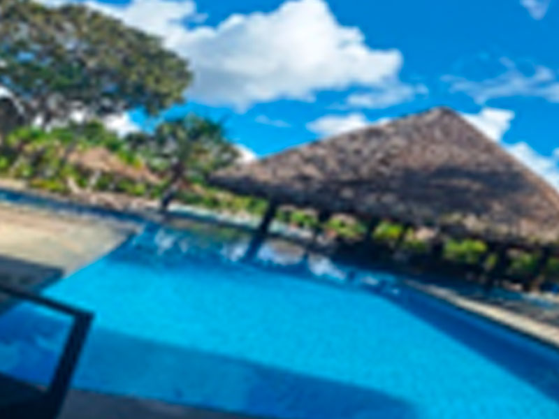 Full day irapay amazon lodge