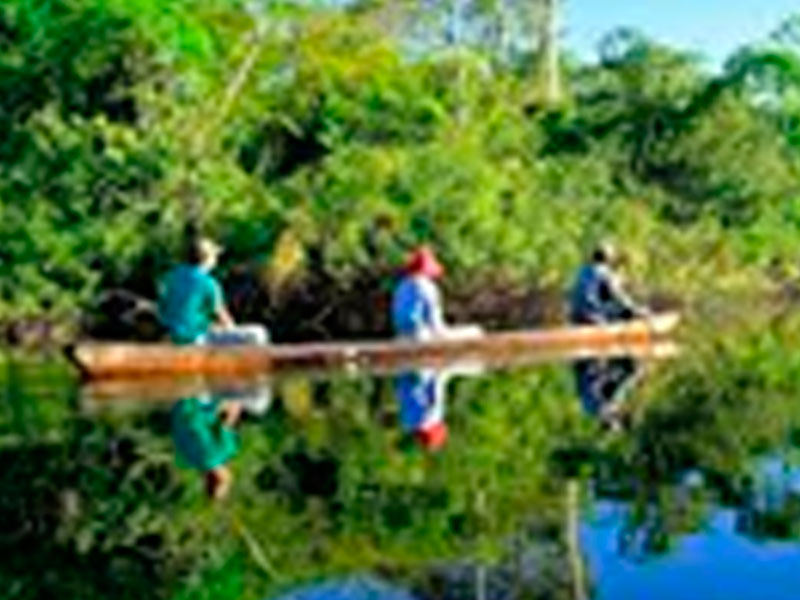 Pacaya Samiria - Espejos del Amazonas 4D/3N