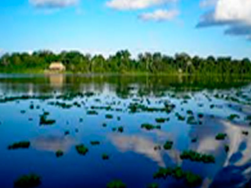 Pacaya Samiria - Espejos del Amazonas 4D/3N