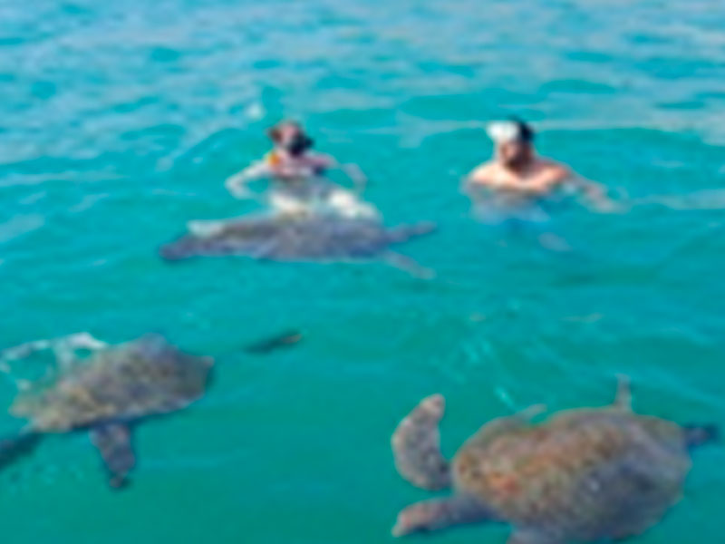 Playas del Norte 5D/4N