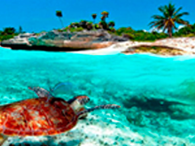 Punta Cana 5D/4N